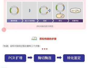 舰指太平洋科研中心：新手入门指南——掌握关键科研知识与技巧必备手册