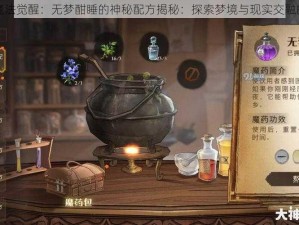 哈利波特魔法觉醒：无梦酣睡的神秘配方揭秘：探索梦境与现实交融的奇幻之旅