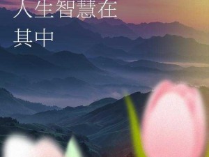 桃源深处人家百岁老人南柯成就达成之路探秘：话长寿智慧与岁月成就方法揭秘