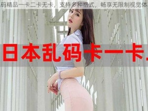 乱码精品一卡二卡无卡，支持多种格式，畅享无限制视觉体验