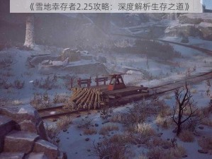 《雪地幸存者2.25攻略：深度解析生存之道》