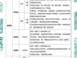 魔天记手游境界系统深度解析：境界提升策略全面分析