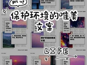 关于森林之子水源的可持续利用与解决方案：守护绿意，共筑清泉未来