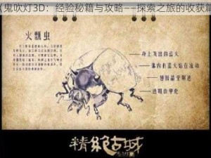 《鬼吹灯3D：经验秘籍与攻略——探索之旅的收获篇》