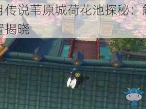 侍魂胧月传说苇原城荷花池探秘：解密宝藏之地位置揭晓