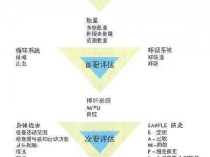 生存几何：解读居民属性与战力提升之间的微妙关联