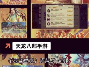 天龙八部门派群英荟萃：江湖剑影诗韵中的英勇传奇