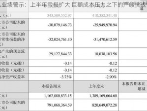 安奈儿业绩警示：上半年亏损扩大 巨额成本压力之下的严峻挑战值得深思