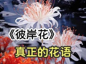 《彼岸花开：神秘的美丽与坚韧的生命之旅》