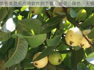 提供各类芭乐应用软件的下载，安全、绿色、无插件