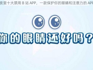 夜里十大禁用 B 站 APP，一款保护你的眼睛和注意力的 APP