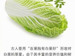 法国培育出的新型粉红大白菜，菜质紧密口感佳，营养丰富且颜值高