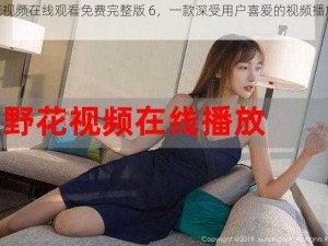 野花视频在线观看免费完整版 6，一款深受用户喜爱的视频播放软件