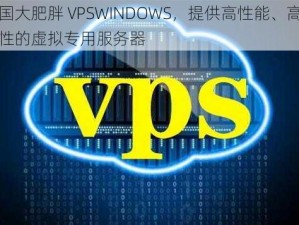 中国大肥胖 VPSWINDOWS，提供高性能、高可靠性的虚拟专用服务器