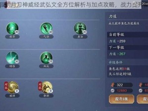 天涯明月刀神威经武弘文全方位解析与加点攻略，战力提升指南