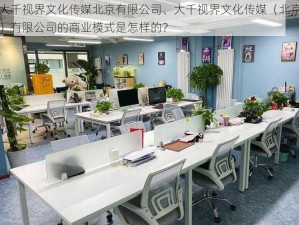 大千视界文化传媒北京有限公司、大千视界文化传媒（北京）有限公司的商业模式是怎样的？