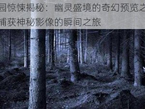 鬼怪乐园惊悚揭秘：幽灵盛境的奇幻预览之揭秘真相瞬间捕获神秘影像的瞬间之旅