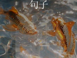 老师您的兔子好软水好多 老师，您的兔子好软水好多，是在形容什么呢？