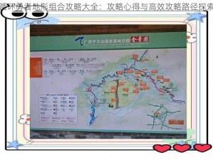 循环勇者地形组合攻略大全：攻略心得与高效攻略路径探索