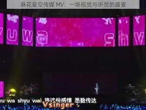 麻花星空传媒 MV：一场视觉与听觉的盛宴