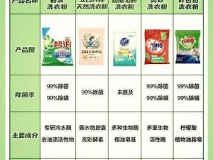 十三号病院第二章：探索最佳洗衣粉配比与实用技巧揭秘