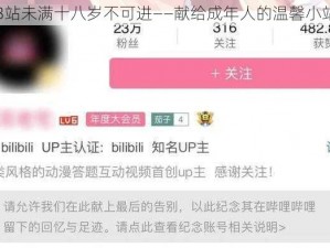 B站未满十八岁不可进——献给成年人的温馨小站