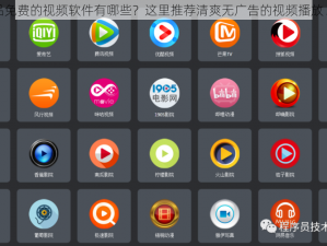 成品免费的视频软件有哪些？这里推荐清爽无广告的视频播放 APP