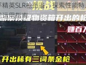 和平精英SLR枪图鉴：探索性能特点与实战运用指南