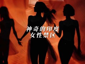 学生幻女FREE性印度—学生幻女 FREE 性印度：探寻印度教育与性观念的复杂交织