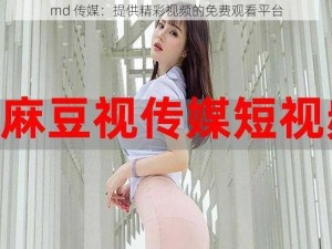 md 传媒：提供精彩视频的免费观看平台