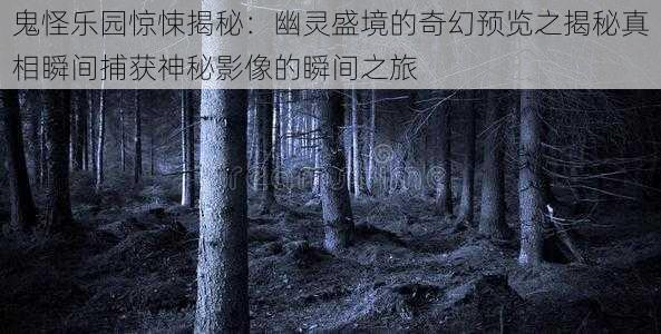 鬼怪乐园惊悚揭秘：幽灵盛境的奇幻预览之揭秘真相瞬间捕获神秘影像的瞬间之旅