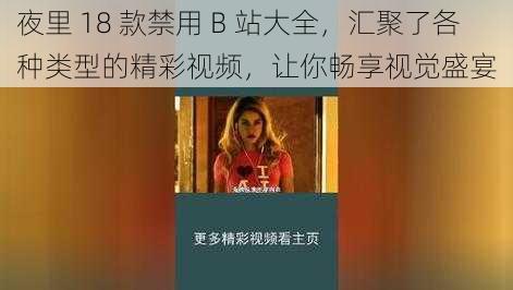 夜里 18 款禁用 B 站大全，汇聚了各种类型的精彩视频，让你畅享视觉盛宴