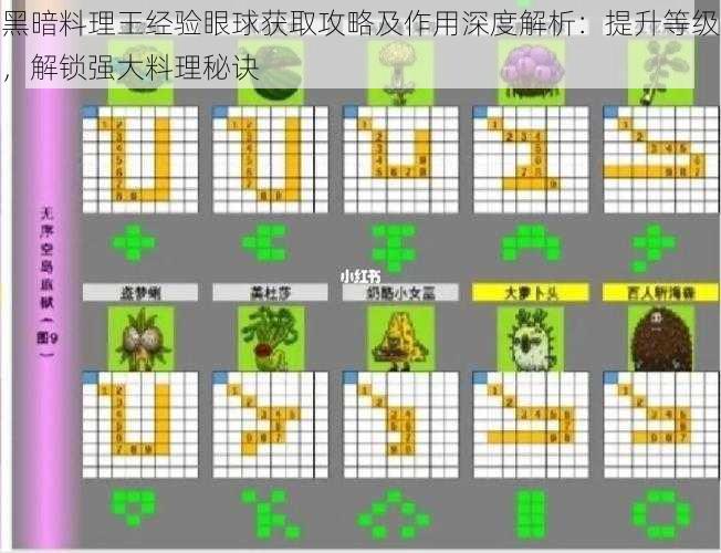 黑暗料理王经验眼球获取攻略及作用深度解析：提升等级，解锁强大料理秘诀