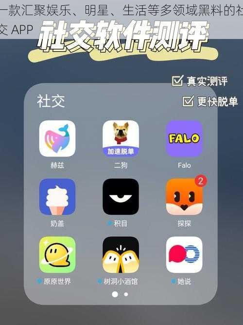 一款汇聚娱乐、明星、生活等多领域黑料的社交 APP