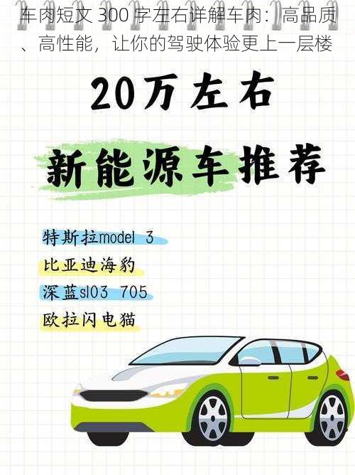 车肉短文 300 字左右详解车肉：高品质、高性能，让你的驾驶体验更上一层楼