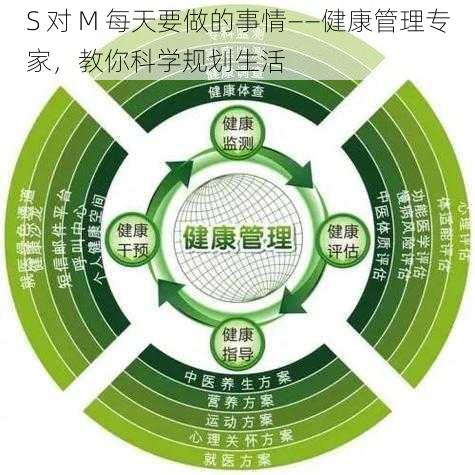 S 对 M 每天要做的事情——健康管理专家，教你科学规划生活