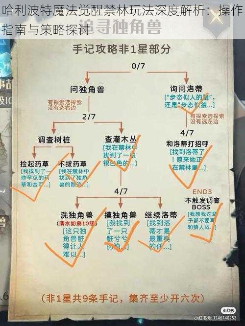 哈利波特魔法觉醒禁林玩法深度解析：操作指南与策略探讨