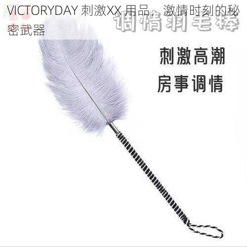 VICTORYDAY 刺激XX 用品，激情时刻的秘密武器