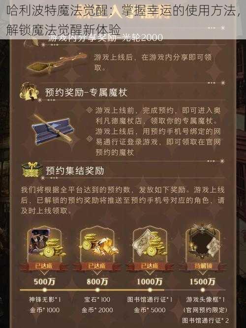 哈利波特魔法觉醒：掌握幸运的使用方法，解锁魔法觉醒新体验