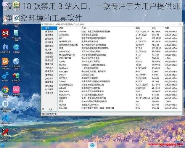 夜里 18 款禁用 B 站入口，一款专注于为用户提供纯净网络环境的工具软件