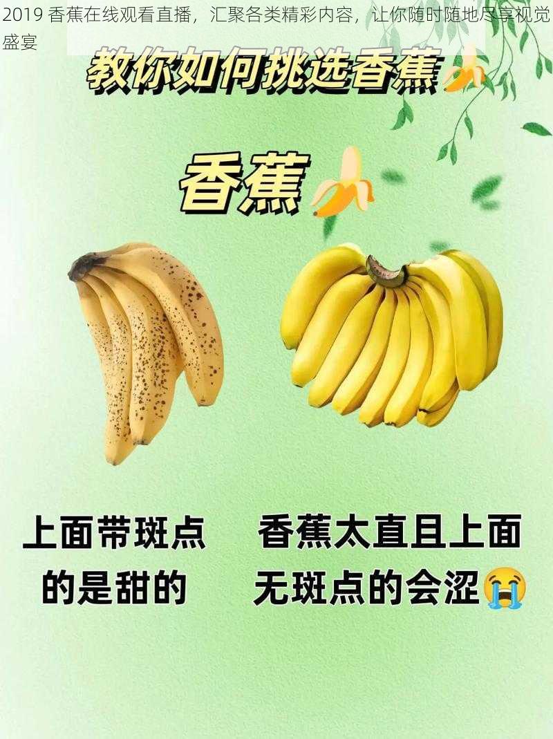 2019 香蕉在线观看直播，汇聚各类精彩内容，让你随时随地尽享视觉盛宴