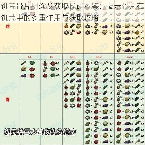 饥荒骨片用途及获取代码图鉴：揭示骨片在饥荒中的多重作用与获取攻略