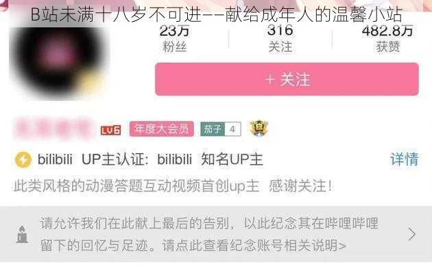 B站未满十八岁不可进——献给成年人的温馨小站