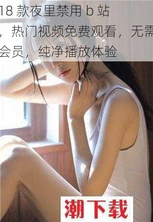 18 款夜里禁用 b 站，热门视频免费观看，无需会员，纯净播放体验