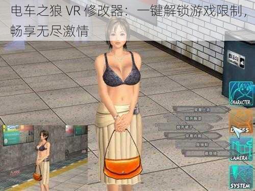 电车之狼 VR 修改器：一键解锁游戏限制，畅享无尽激情