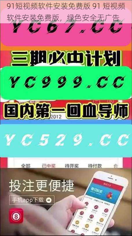 91短视频软件安装免费版 91 短视频软件安装免费版，绿色安全无广告