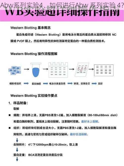 Abw系列实验4、如何进行Abw 系列实验 4？