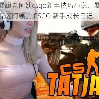 暴躁老阿姨csgo新手技巧小说、暴躁老阿姨的 CSGO 新手成长日记