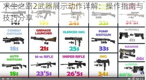 求生之路2武器展示动作详解：操作指南与技巧分享