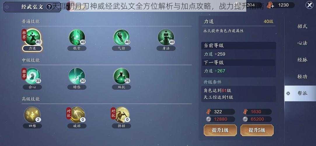 天涯明月刀神威经武弘文全方位解析与加点攻略，战力提升指南